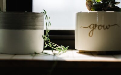 EP63: Overcoming growth stalls